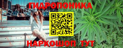 эйфоретик Северобайкальск