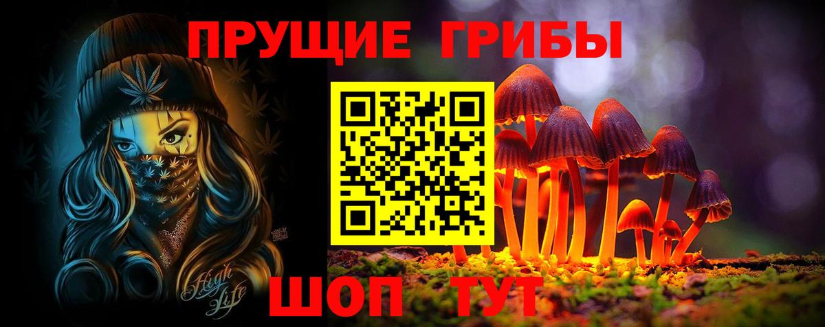 Галлюциногенные грибы Cubensis Санкт-Петербург