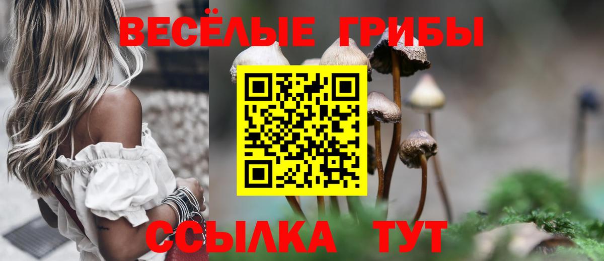 Санкт-Петербург  Псилоцибиновые грибы Magic Shrooms  цены наркотик  Вход с VPN 